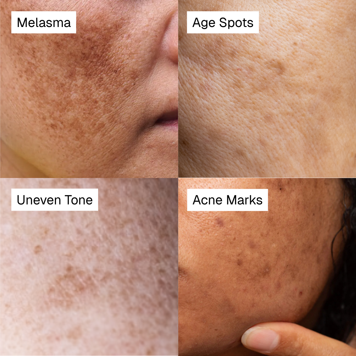 Complete Radiance Bundle (Full-size + Travel-size)